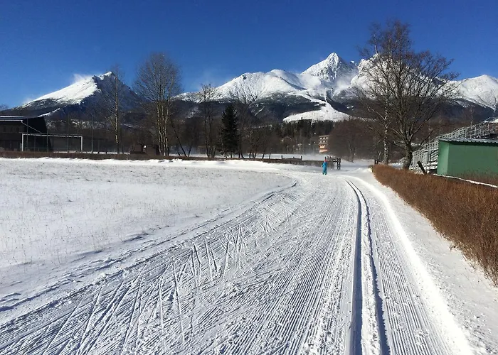 招待所 博拉纳膳食公寓旅馆 Vysoké Tatry
